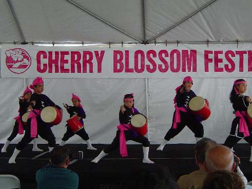 cherry blossom drummers with banner